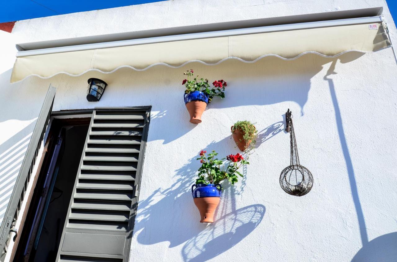 Alohamundi Campana Appartement Sevilla Buitenkant foto